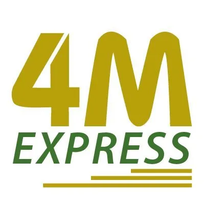 busperu4m.com's icon