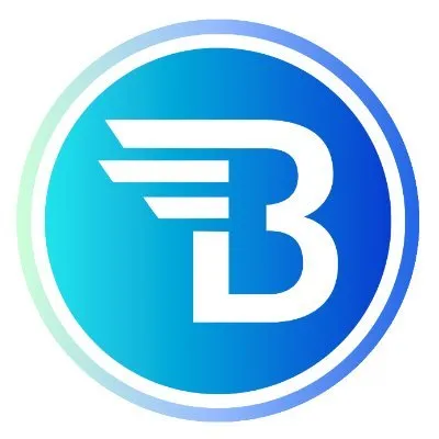 busprovider.com's icon