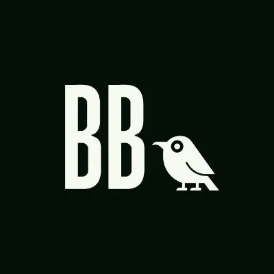 butcherbirdstudios.com's icon
