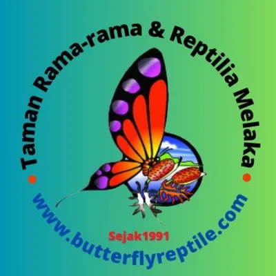 butterflyreptile.com's icon