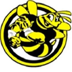 buzzboxliners.com's icon