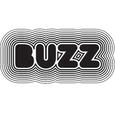 buzzsneakers.ro's icon