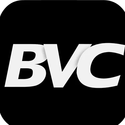 bvconline.com.ar's icon
