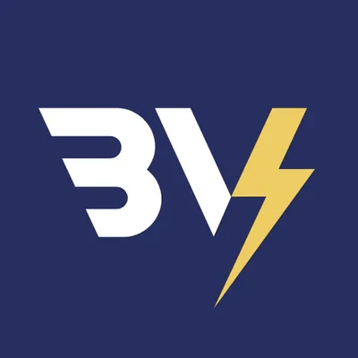 bvelektronik.cz's icon