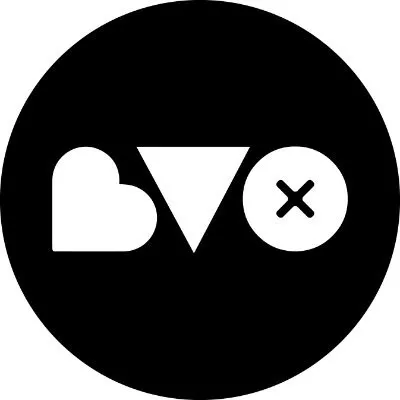 bvoexp.com's icon
