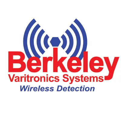 bvsystems.com's icon