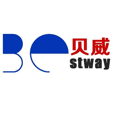bwmagnets.com's icon