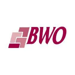 bwoinsurance.com's icon