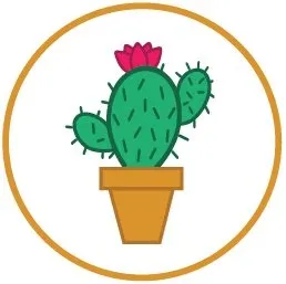 bybsandthrive.com's icon