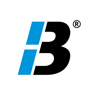 bystrongroup.cz's icon