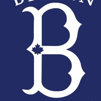 bytowndodgers.ca's icon