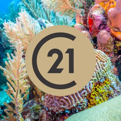 c21caribbean.com's icon
