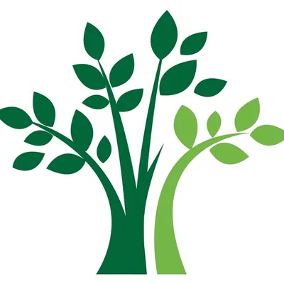 ca-mh.com's icon