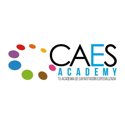 caesacademy.com's icon