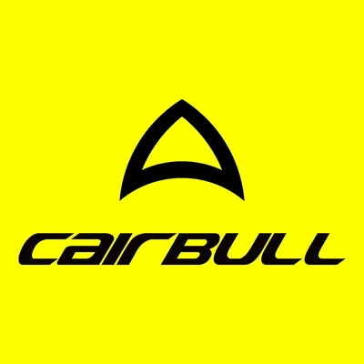 cairbull.com's icon