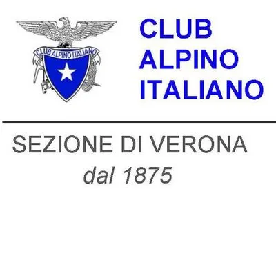 caiverona.it's icon