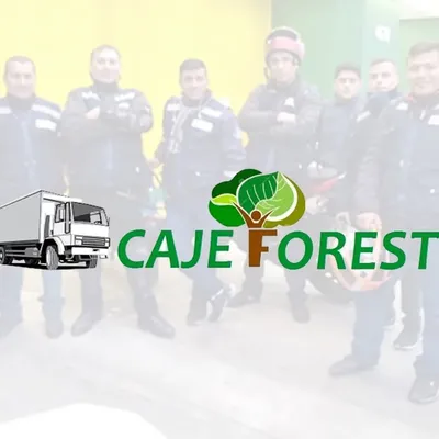 cajeforest.com's icon