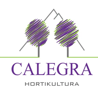 calegra.net's icon