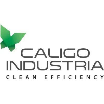 caligoindustria.com's icon