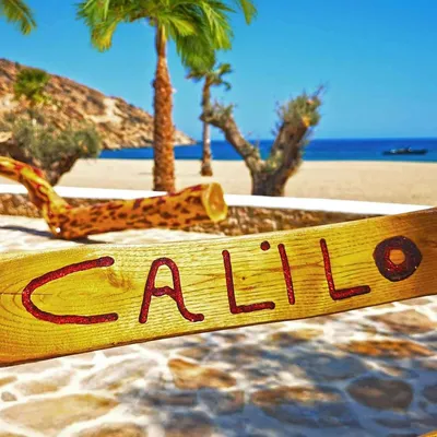 calilo.com's icon