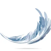callonrise.com's icon