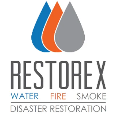 callrestorex.com's icon
