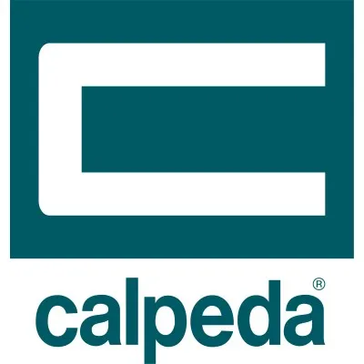 calpeda.com's icon