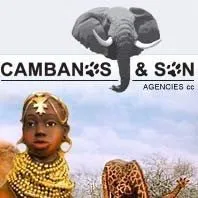 cambanos.com's icon