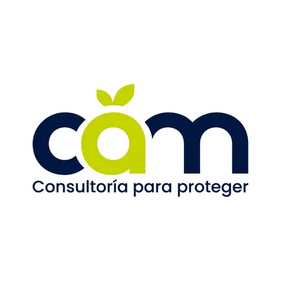 camconsultoria.com's icon