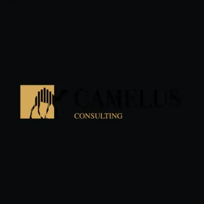Camelus consulting's icon
