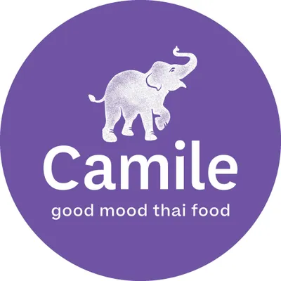 camile.ie's icon