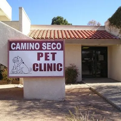 caminosecopetclinic.com's icon