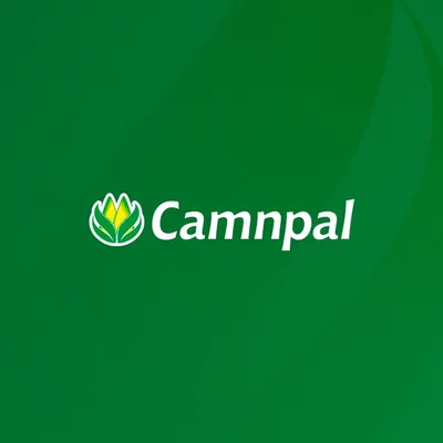 camnpal.com.br's icon