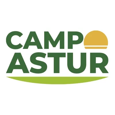 campoastur.es's icon