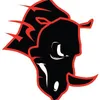 CV  Avatar