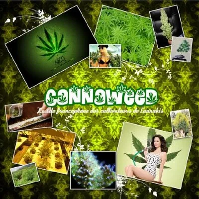 cannaweed.com's icon