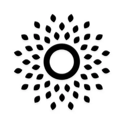 canopy.is's icon