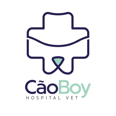 caoboy.com.br's icon