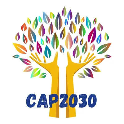 cap2030.com's icon