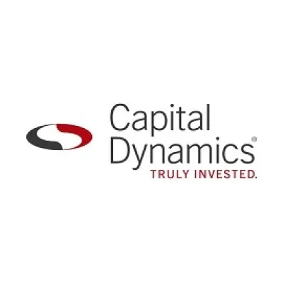 capdyn.com's icon