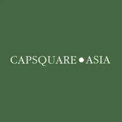capsquare-asia.com's icon