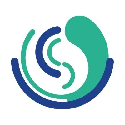 capsysgroup.com's icon