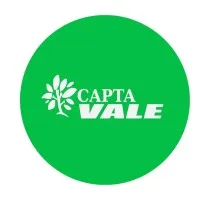 captavale.com's icon