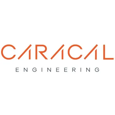 caracalengineering.com's icon