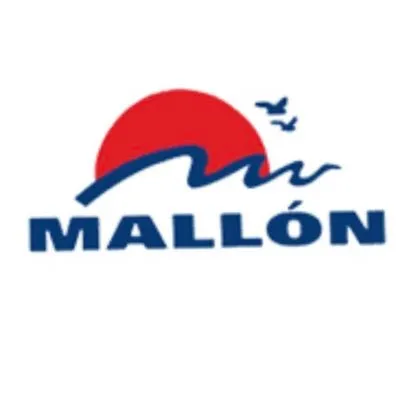 caravanasmallon.com's icon