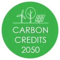 carboncredits2050.com's icon