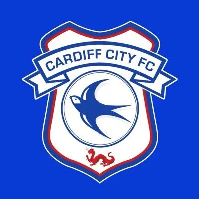 cardiffcityfcstore.com's icon