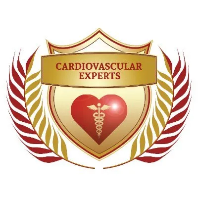 cardiovascularexperts.com's icon