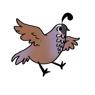carefreequail.com's icon