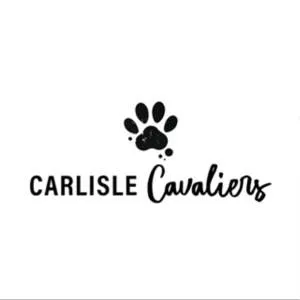 carlislecavaliers.com's icon